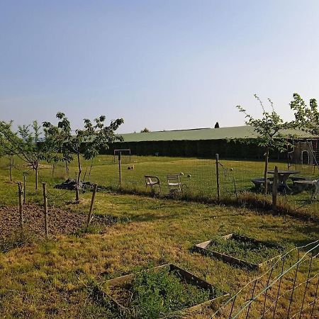 Charmante Maison Avec Piscine Anneyron ภายนอก รูปภาพ