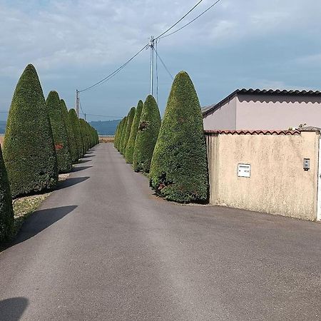 Charmante Maison Avec Piscine Anneyron ภายนอก รูปภาพ