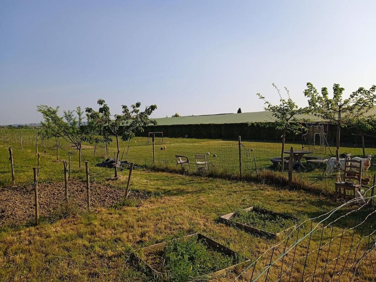 Charmante Maison Avec Piscine Anneyron ภายนอก รูปภาพ