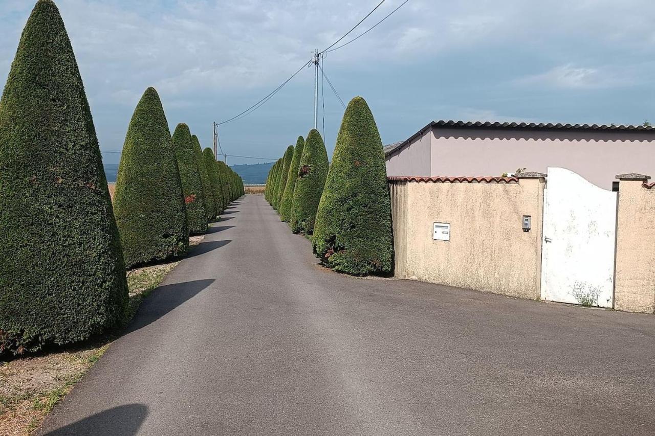 Charmante Maison Avec Piscine Anneyron ภายนอก รูปภาพ